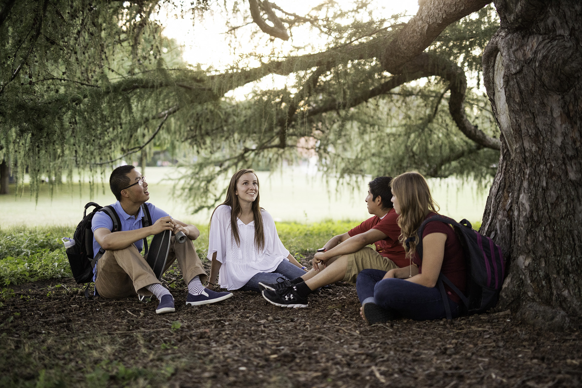 Students sitting under tree
